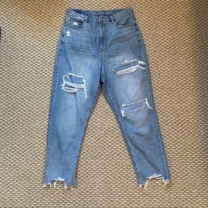 American Eagle Curvy Mom Jeans